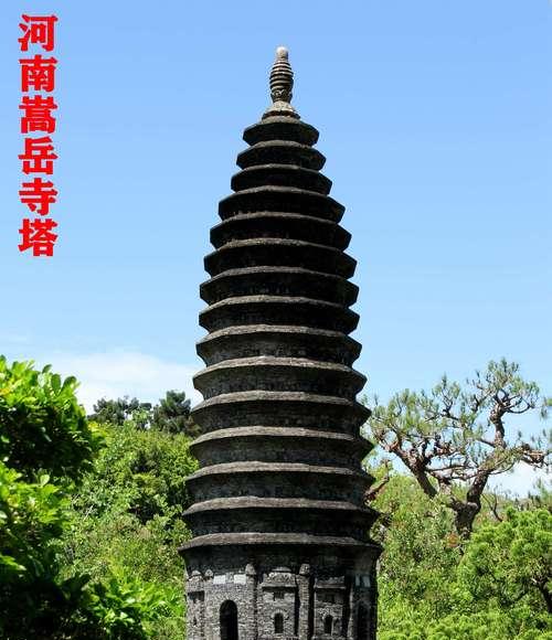 中华塔的养殖方法及注意事项（打造绿意盎然的中华塔花园，）