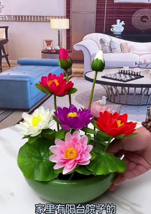 如何养护红睡莲鲜花（全面指南，轻松打造迷人水景花园）