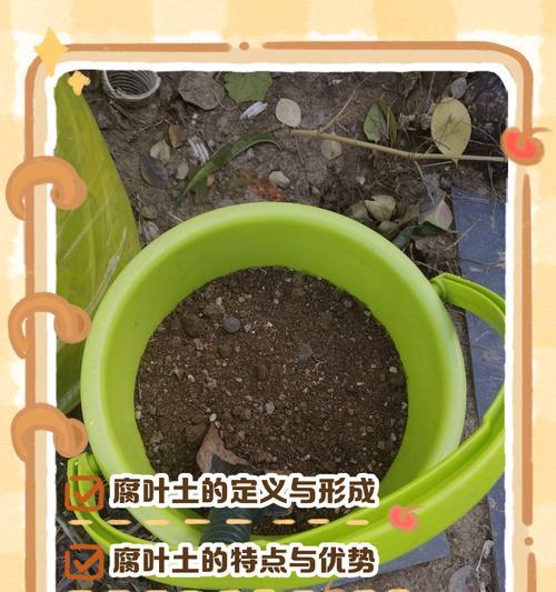 腐殖土的制作与应用（探索腐殖土的制作方法及其在农业领域的应用）