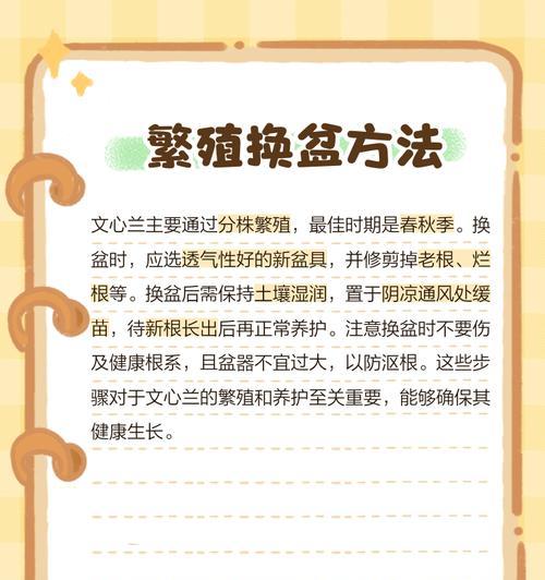 文心兰养护指南（养护秘籍）