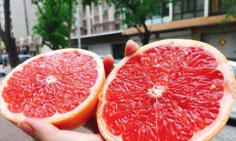 红西柚的成熟季节及上市时间（鲜美的红西柚，你知道它的成熟时间吗？）