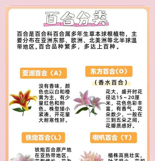 12月百合开花的原因及处理方法（揭秘冬季百合盛放的奥秘，教你如何妥善处理）
