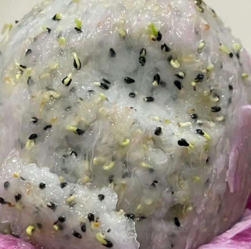 火龙果籽幼苗的培育方法（以火龙果籽为种子的幼苗培育步骤及技巧）