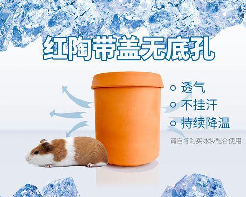 夏日花盆降温的秘诀（在炎热夏季，如何为花盆降温？）