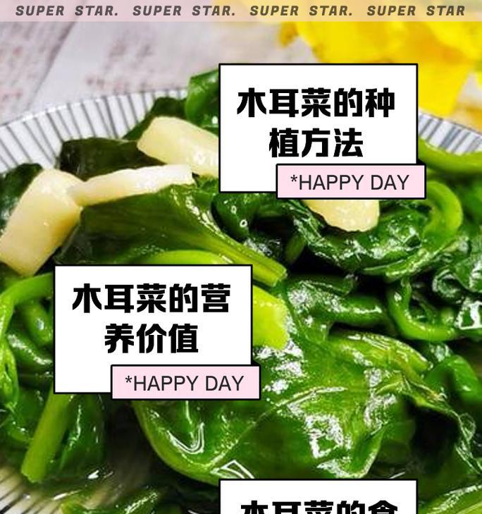 木耳菜——一道营养丰富的家常菜（木耳菜的营养价值和美食做法，快来品尝吧！）