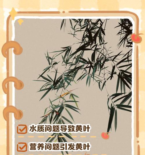 探究竹子叶子变卷的奥秘（揭开竹子叶子卷曲的原因与机制）
