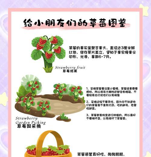草莓种子催芽技巧详解（轻松掌握草莓种子催芽步骤，种出健康的草莓苗）