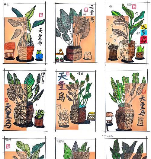 天堂鸟花的奇妙之旅（探索天堂鸟花的独特魅力）