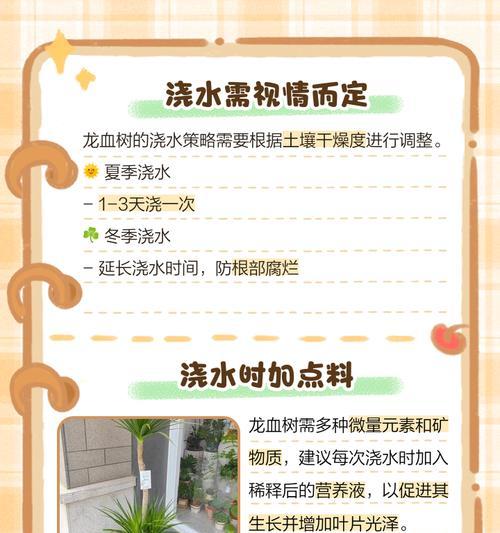 龙血树的土壤配方及养护技巧（让龙血树活得更健康，更美丽）