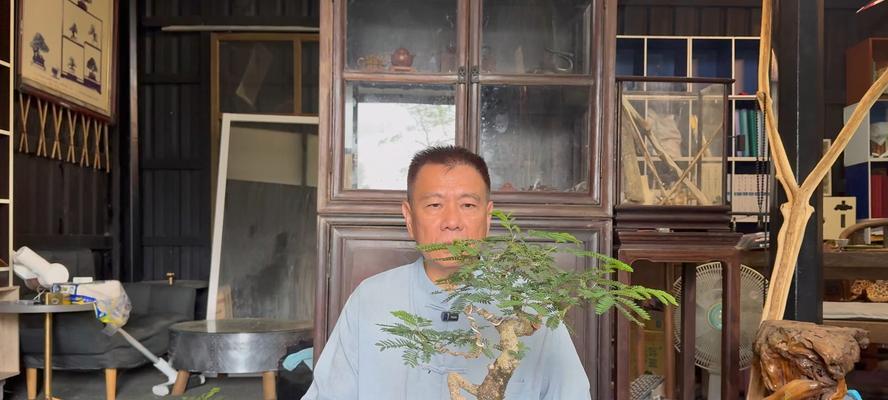 冬季流水盆景的养护与装饰（打造四季如春的室内水景）