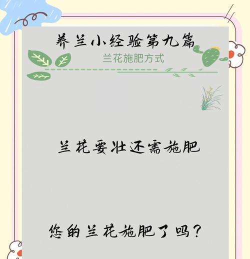 兰花草的施肥技巧（科学施肥，让兰花草健康茁壮）