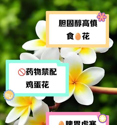 鸡蛋玫瑰开花（以鸡蛋为材料，种植出美丽的玫瑰，震撼世界！）