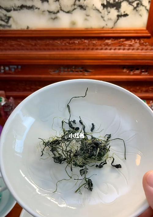 龙须叶尖为什么干枯？如何解决？（了解龙须叶的生长环境，有效预防龙须叶干枯）