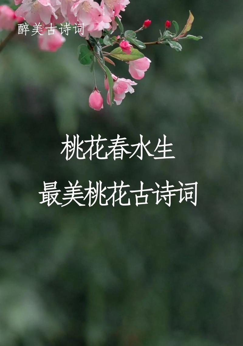探究桃花的花语与寓意（桃花的象征含义及文化历史）