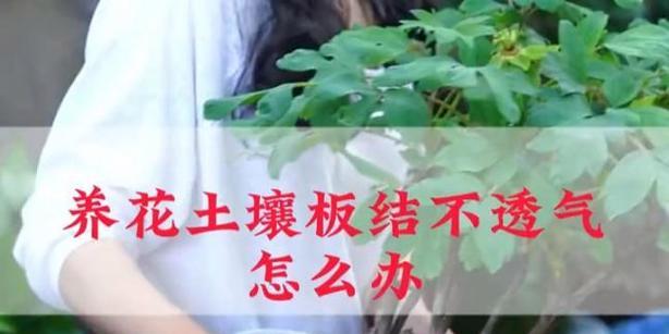 如何解决花土板结问题（有效防治花土板结的方法）