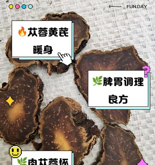 肉苁蓉与草苁蓉的区别（从形态、功效、采摘方式等角度分析肉苁蓉和草苁蓉的异同）