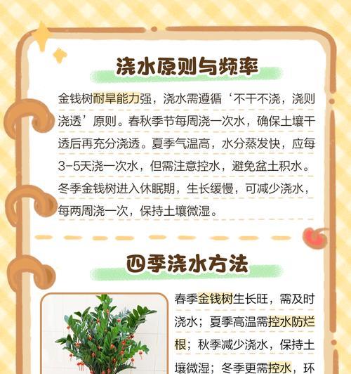 打理金钱树的绝佳方法（让你的金钱树健康茁壮，满载硕果！）