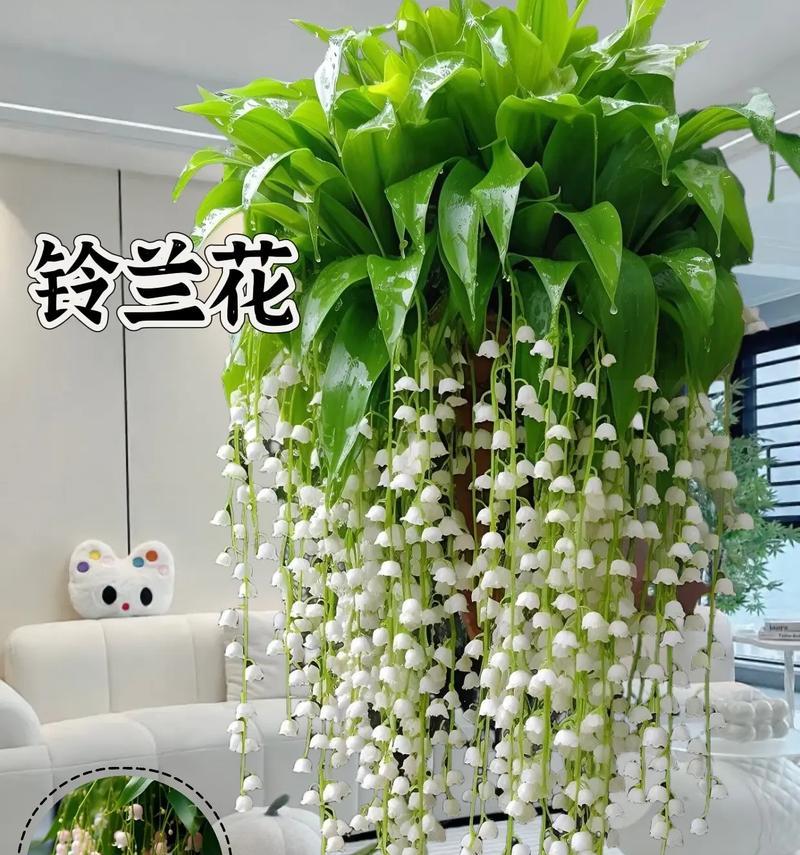 如何打造精致盆栽鲜花装饰？（让家居生活更加美丽的简易技巧）