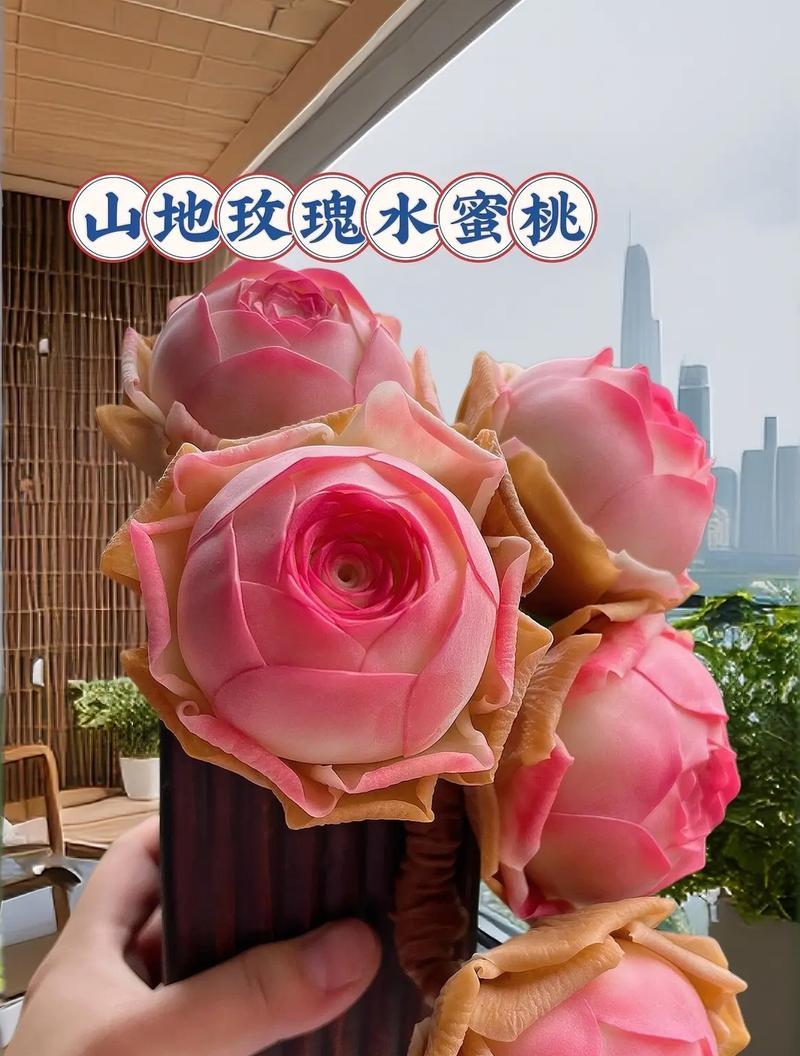如何正确浇水给新种下的山地玫瑰？（关键步骤和注意事项，确保玫瑰健康成长。）