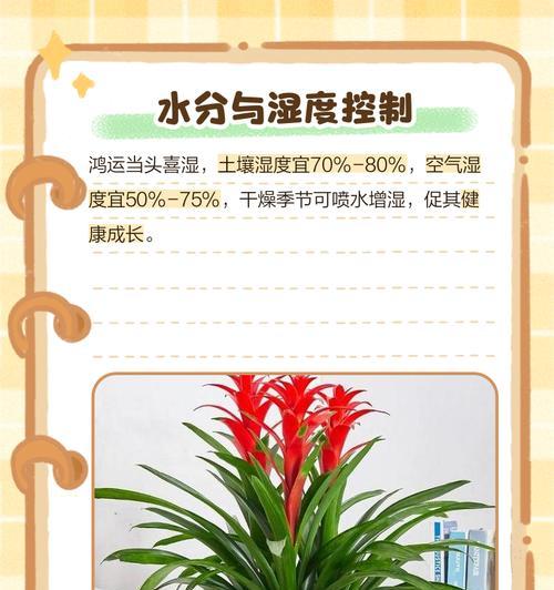 以鸿运当头花怎么浇水（用正确的方法和时机来浇水，让鸿运常伴左右）