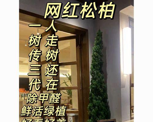 龙柏室内养护指南（了解龙柏的生长环境，科学种植自然生长）