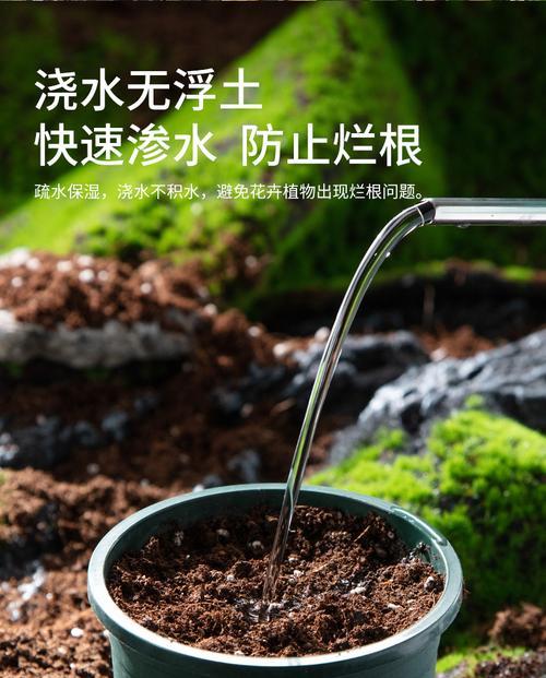 如何调整盆栽土壤以促进植物生长？