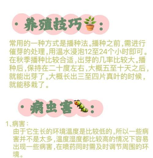 冬季养花保暖攻略（怎样让花儿在寒冷的冬天里温暖如春）