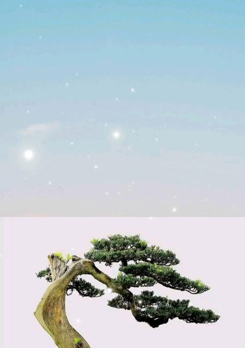 盆景枯死剪枝的正确方法（恢复盆景健康生长的关键技巧与注意事项）