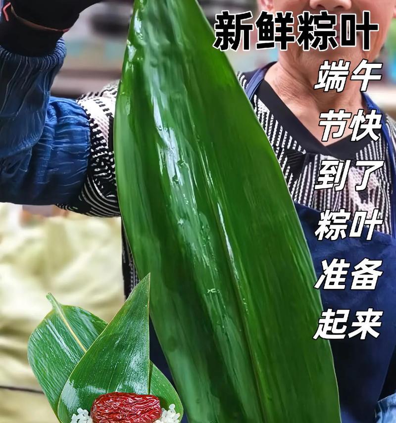 包粽子的叶子是什么植物的叶子（了解粽叶的来源及特点）