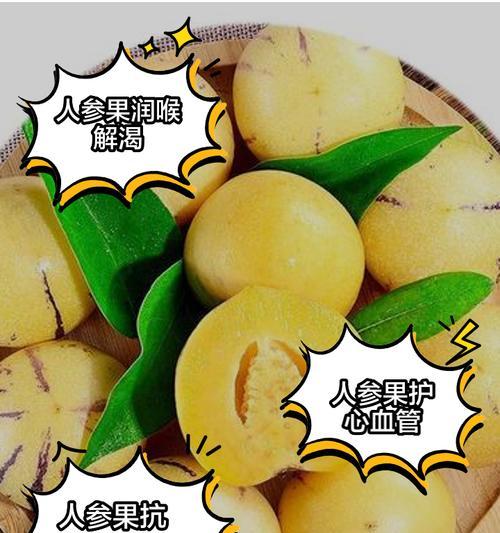人参果种子的特点和用途（探寻人参果种子的神秘之处）