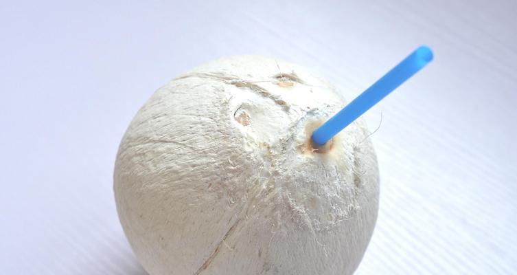 如何繁殖布迪椰子（从种子到苗木，一步步教你繁殖布迪椰子）