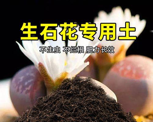 肥料过量施用怎么办？（合理处理过量肥料的方法与技巧）