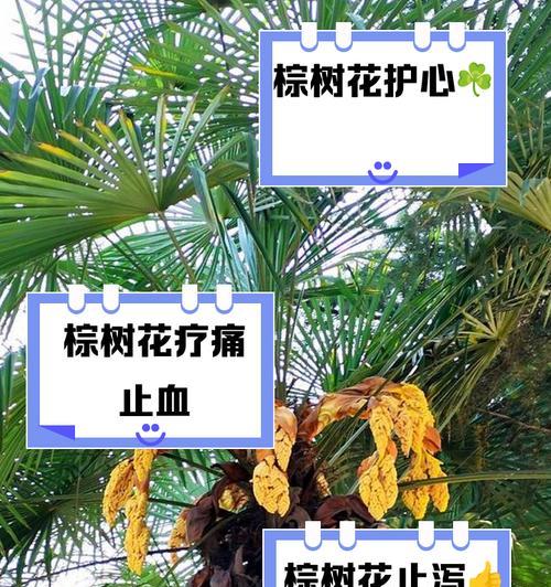 以棕榈树编花的艺术之美（探索大自然的创作灵感，以棕榈树的枝叶为素材创造独特的花朵）