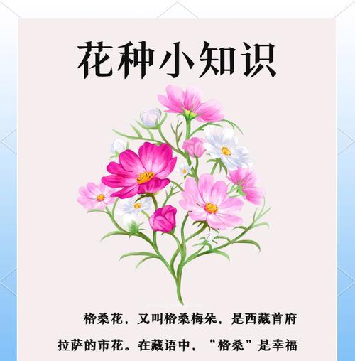 格桑花花语解读（探究格桑花的美丽与寓意）
