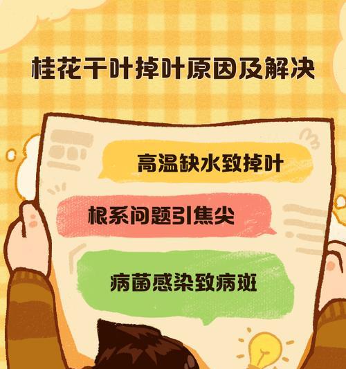 四季桂叶尖干枯的原因及治疗方法（了解四季桂叶尖干枯的关键原因，掌握有效的治疗方法）