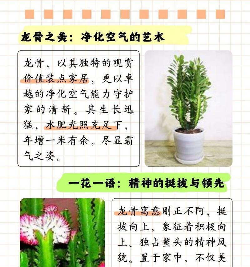 龙骨的养护与成活技巧（探索龙骨种植的关键步骤和技术）