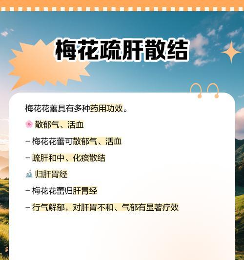 梅花花谢后的养护要点（关键养护技巧，让梅花持久绽放）