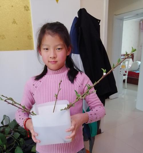 如何快速让桃子核发芽？（简单实用的方法教你一步步完成，让你种出好吃的桃子！）