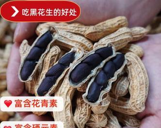 探秘黑花生的故乡（黑花生产地、特点和文化）