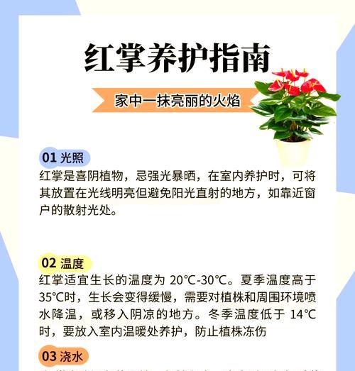 以红掌发黄怎么养活？（打造健康红掌的养护技巧）