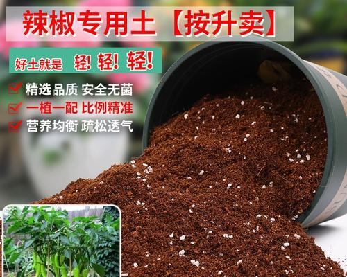 如何为辣椒选择最佳肥料