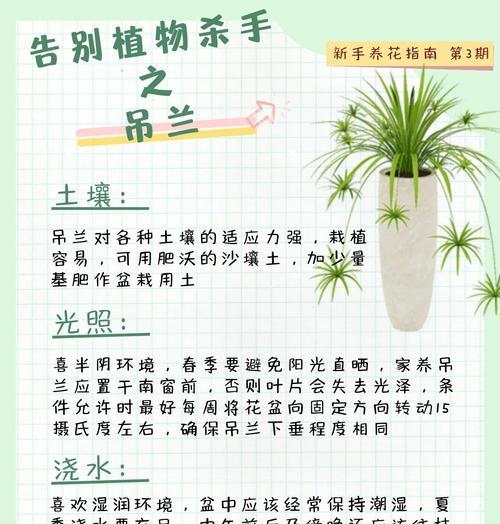 吊兰叶子有点死了（探究吊兰叶子枯萎的原因及解决方法）