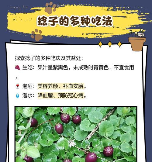 捻子的功效与作用（探秘中医传统良药，捻子的神奇力量）