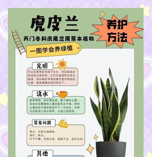 虎皮兰发黄了怎么办？-养护技巧大揭秘（让虎皮兰重现翠绿色的方法，它会感谢你的）