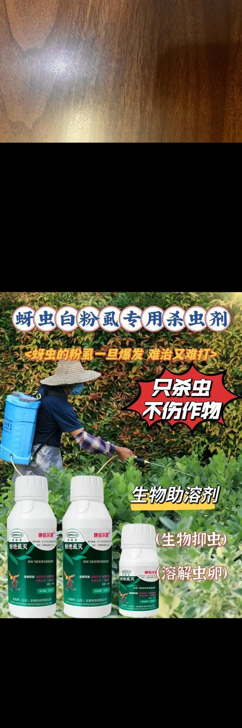 如何制作玫瑰花长蚜虫药（简单制作方法，保护你的玫瑰花园）