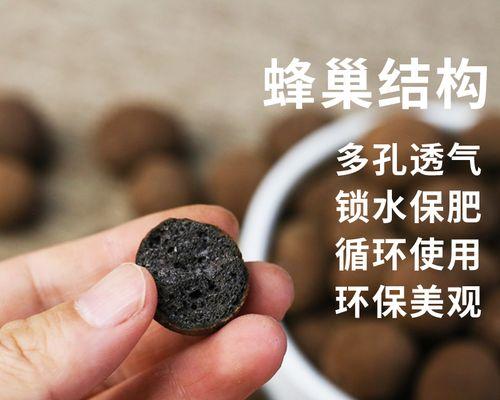 陶粒栽兰，打造别样花海（陶粒养花，开启现代化绿植新时代）