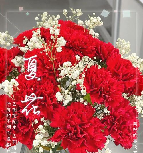 康乃馨花束养护指南（打造持久美丽的康乃馨花束）