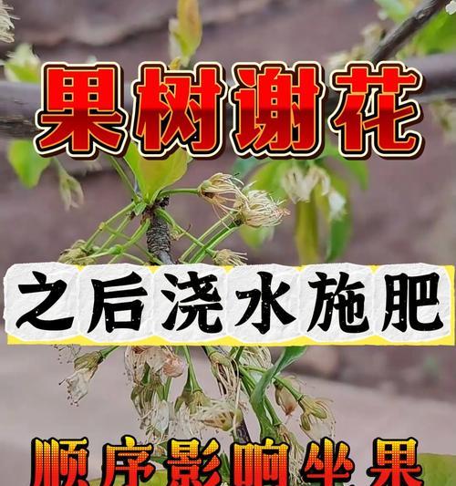 果树需要每天浇水吗？（果树浇水的时间、量、频率以及注意事项）