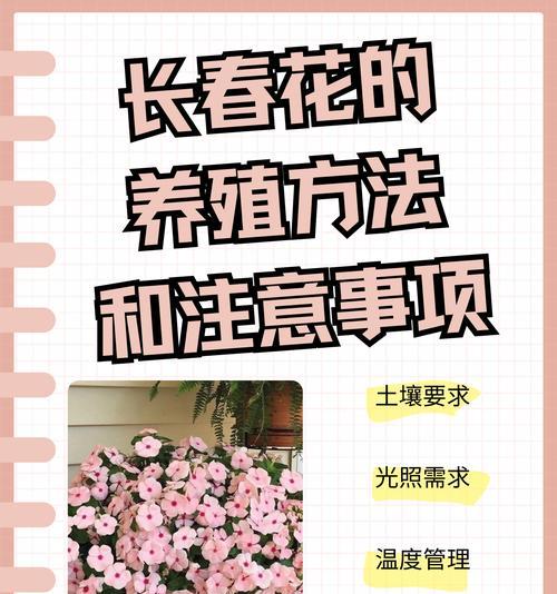 花的养护指南（从浇水到施肥，教你如何正确养护花草）