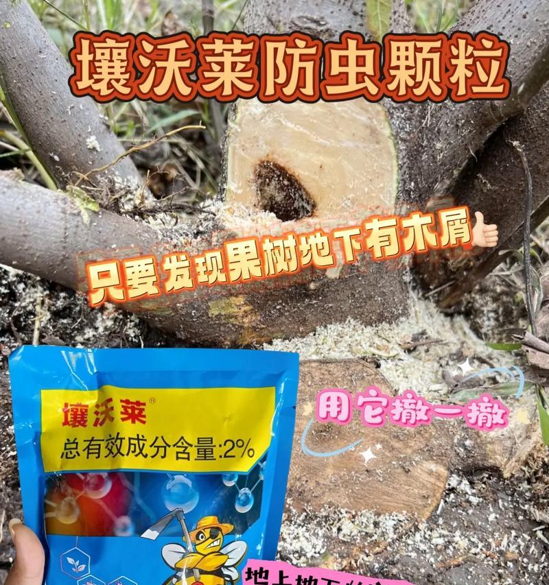 柿子长白虫的危害与防治方法（揭开柿子长白虫的神秘面纱，保护柿子庄稼的关键）